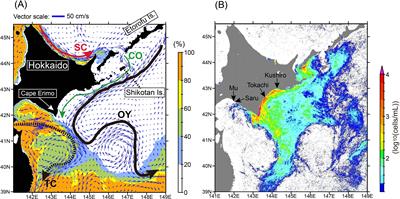 Spatiotemporal variability of satellite-derived abundance of Karenia spp. during 2021 in shelf waters along the Pacific coast of Hokkaido, Japan